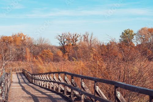 Wooden bridge in Lobau, Danube-Auen National Park in Vienna, Austria