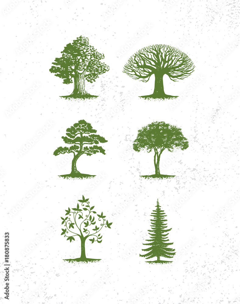 Big collection of tree illustrations, pine trees, evergreen trees