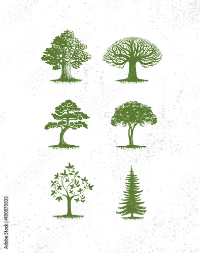 Big collection of tree illustrations, pine trees, evergreen trees, grass and other type of trees