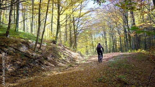 Wallpaper Mural a man who rides a bicycle through the fall forest Torontodigital.ca