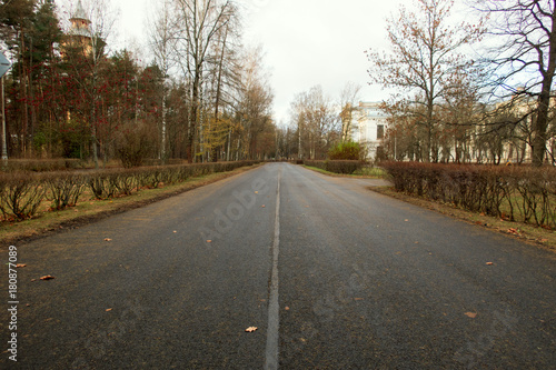 road in the fall in the city
