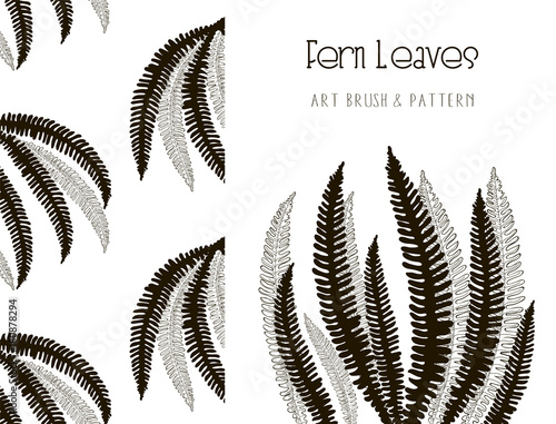 Fototapeta Naklejka Na Ścianę i Meble -  Fern Leaves Design. Art Brush and Pattern. Vector