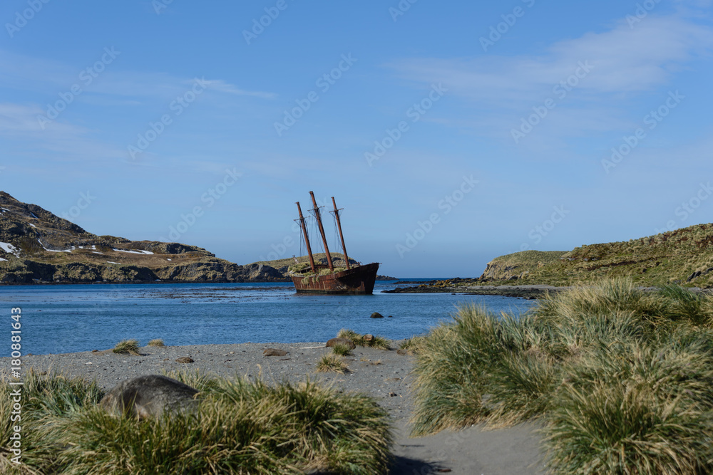 Bayard wreck in Ocean harbour on South Georgia Bayard wreck in Ocean harbour on South Georgia