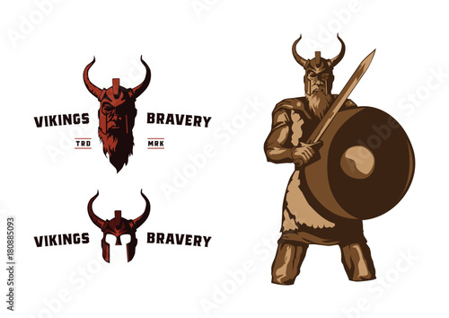 Brave Viking Warrior