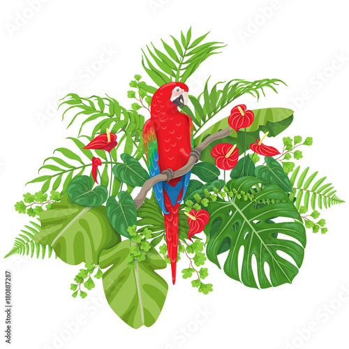 Red Macaw and Tropical Plants