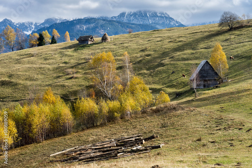 Autumn in Moeciu village, Transylvania, Romania photo