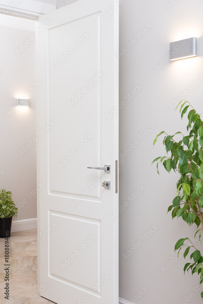 Obraz premium Modern wall lights. The bright apartments are decorated with potted plants
