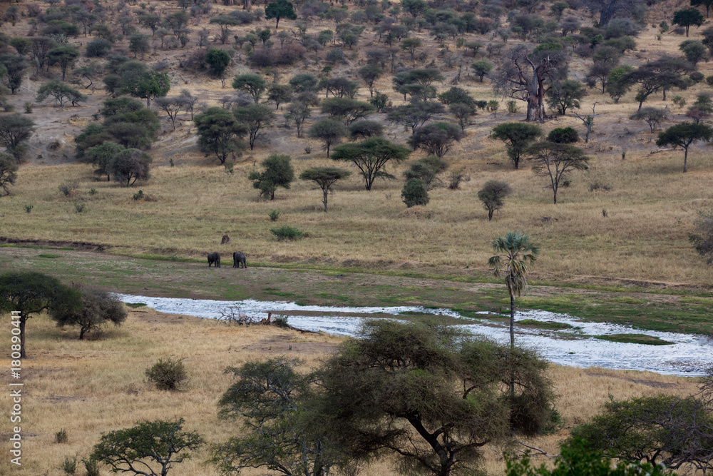 Die Wildnis von Tansania - Afrika Die Wildnis von Tansania - Afrika