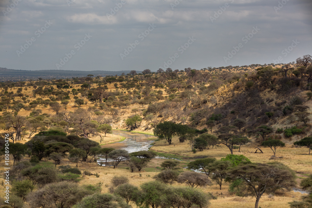 Tansania - Wüste, Savanne, Steppe, Weite... Wildnis!
