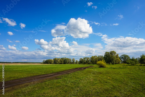 The expanse of fields and the rural road is the sight of the Russian plain.