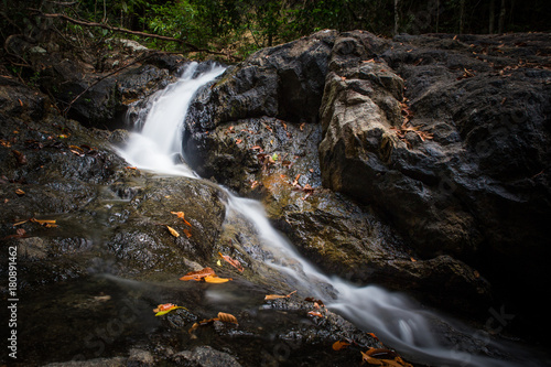 Wallpaper Mural Small waterfall stream with leaves Torontodigital.ca