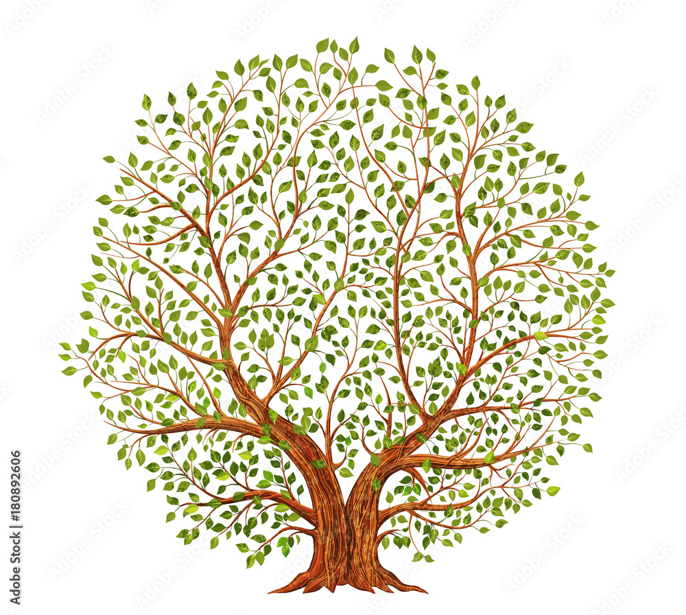 Naklejka Stara drzewna ilustracja