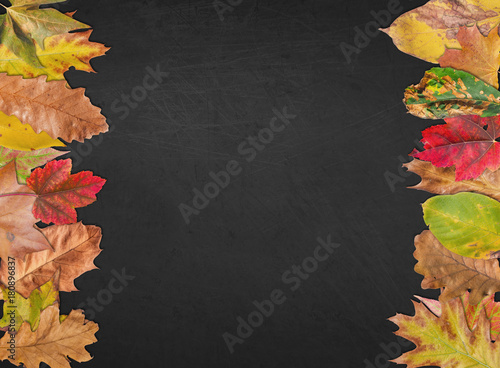 Empty blackboard for thanksgiving design postcard banner with autumn leaves