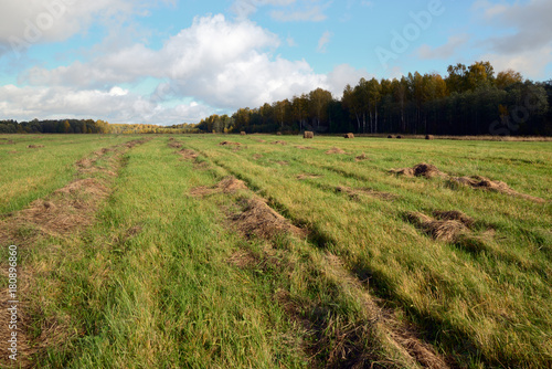 Hay on a green meadow