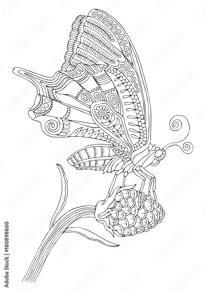 Hand drawn butterfly. Sketch for anti-stress adult coloring book in zen ...