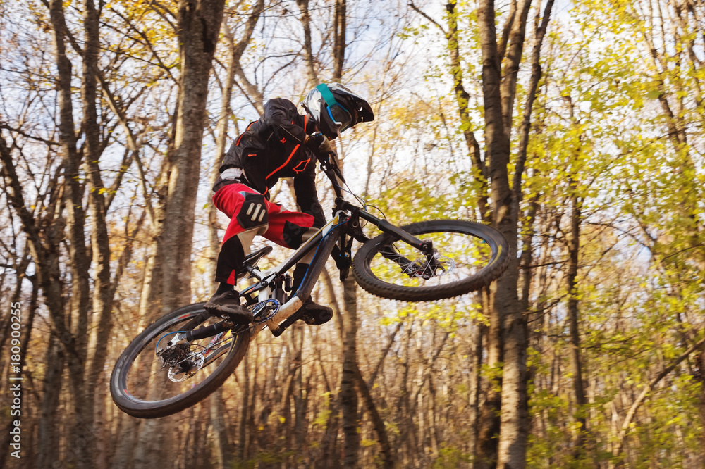 a young rider at the wheel of his mountain bike makes a trick in jumping on the springboard of the downhill mountain path in the autumn forest a young rider at the wheel of his mountain bike makes a trick in jumping on the springboard of the downhill mountain path in the autumn forest