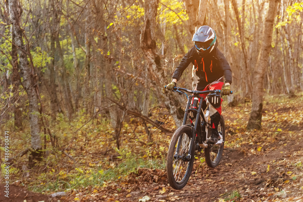 a young rider driving a mountain bike rides at speed downhill in the autumn forest. a young rider driving a mountain bike rides at speed downhill in the autumn forest.
