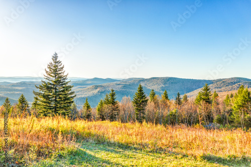 Overlook of West Virginia mountains in autumn fall with foliage and one pine tree in morning sunrise sunlight
