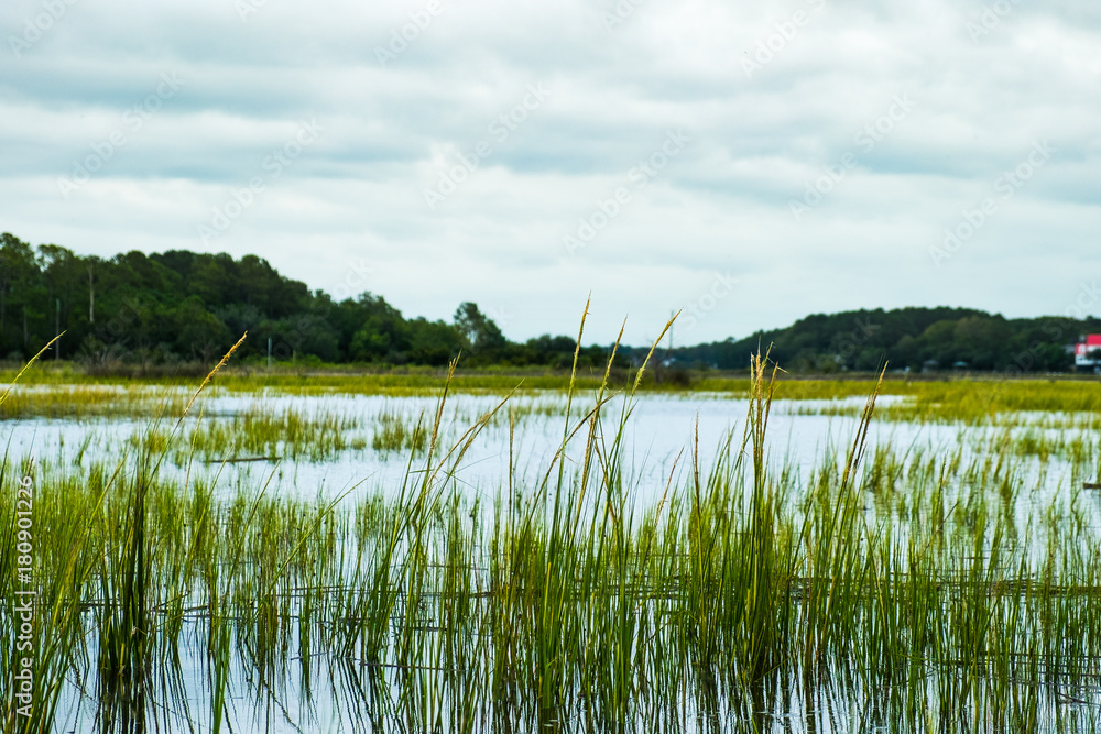Obraz premium south carolina low country marsh flooded during gray cloudy da