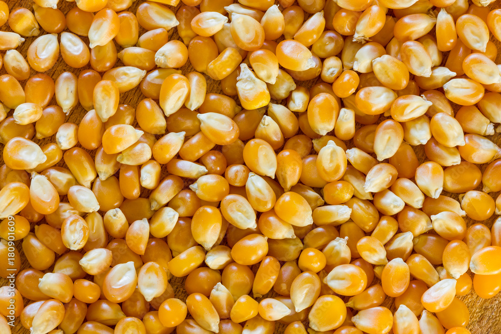 Corn for popcorn Corn for popcorn