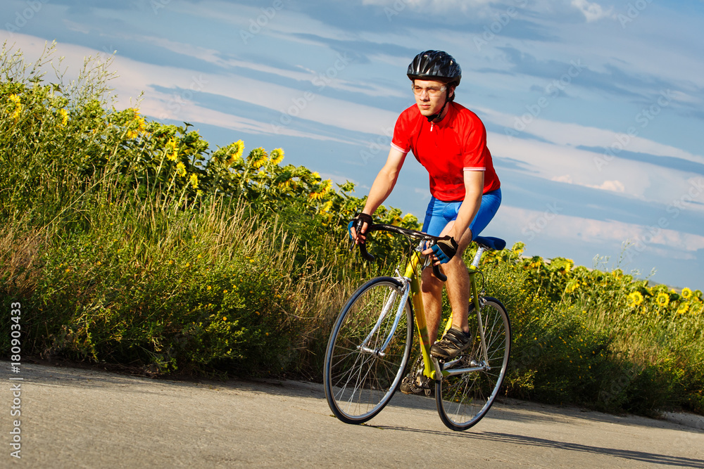 Fototapeta premium A cyclist rides on a road bike along fields of sunflowers.