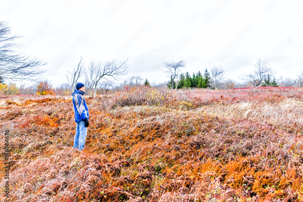Young man walking, standing on hiking trail, enjoying, looking at view of colorful orange foliage fall autumn fern meadow field standing happy in West Virginia