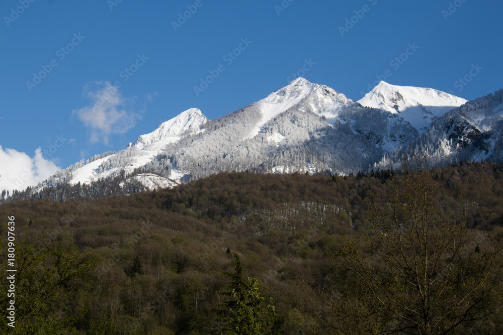 Beautiful scenic green summer landscape with snowy mountain peak tops on blue sky background