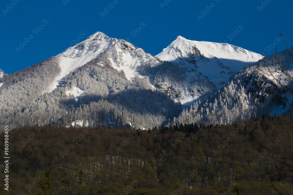 Beautiful scenic green summer landscape with snowy mountain peak tops on blue sky background