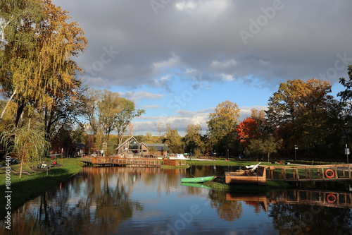 Autumn nature in the city