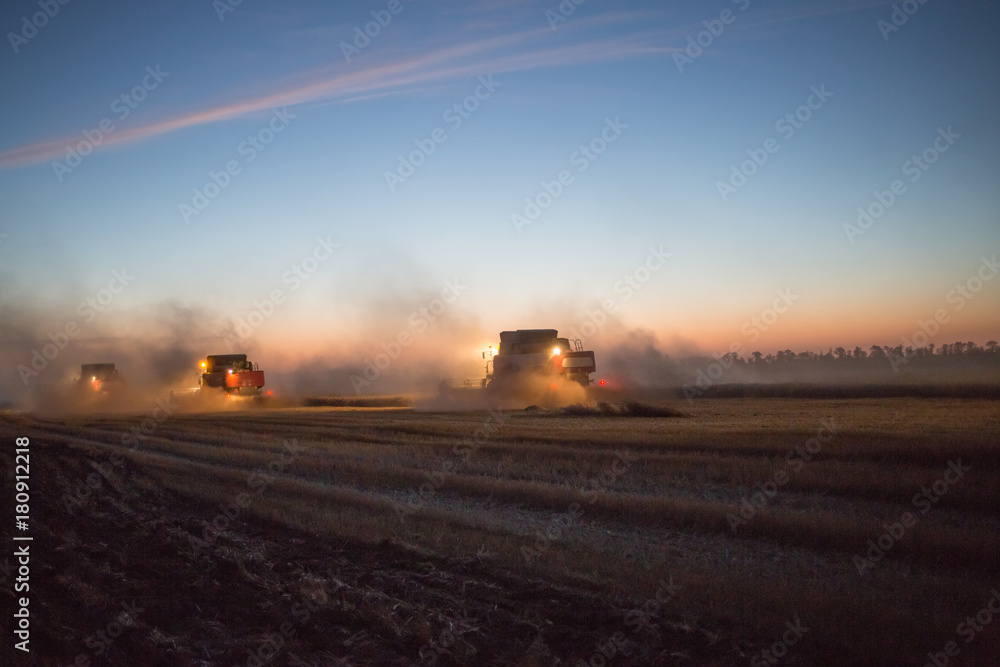 harvesting wheat farm harvester harvesting wheat farm harvester