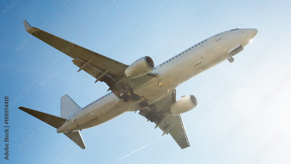 Fototapeta premium Passenger plane departing in afternoon