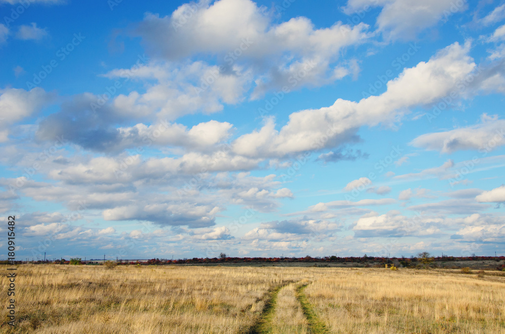 Fototapeta premium dirt road under the sky with clouds