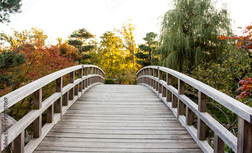 A wood curved bridge leading to an autumn garden with trees full of yellow and orange leaves. photo