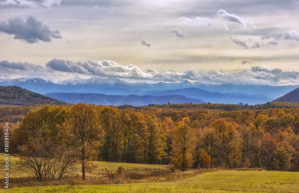 Beautiful landscape with colorful autumn trees with snowy mountains in the background.