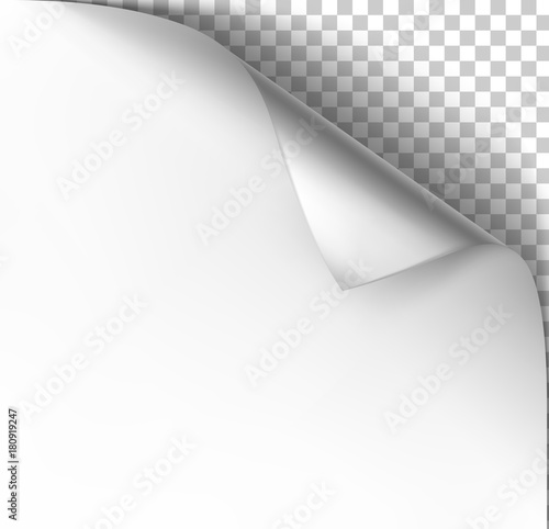 Paper sheet curl on a transparent background. Vector illustration