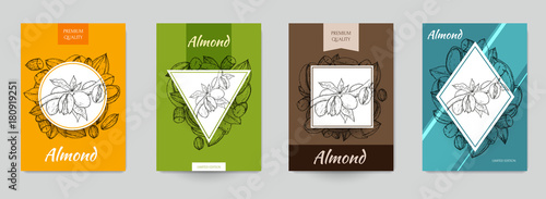 Set of template for branding, cover package, identity, banner, promote, card, label with almonds in retro vintage hand drawn, sketches, engraved style. Modern background. Vector illustration.