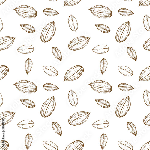Seamless pattern with almonds in retro vintage hand drawn, sketches, engraved style. Isolated on white background. Modern vector illustration.