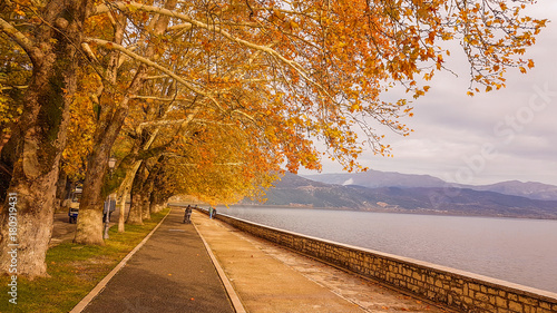 autumn in Ioannina city Epirus Greece trees yellow leaves beside the lake pamvotis photo