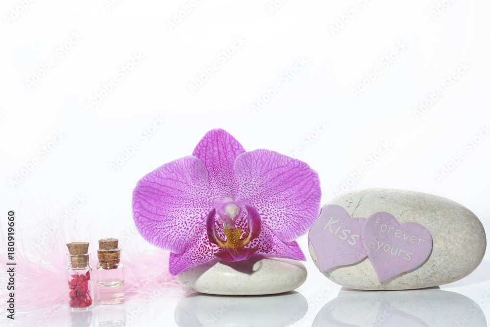 Set for Valentines day with stones, orchid flower and pink feather on white background Set for Valentines day with stones, orchid flower and pink feather on white background