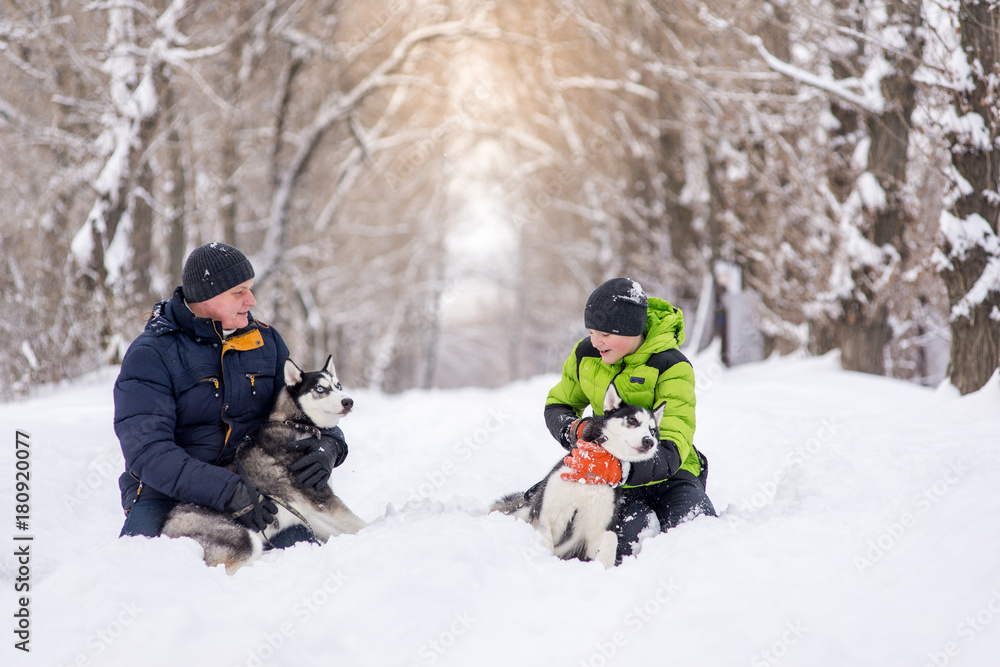 The father and son are walking with the husky dogs in the park in the winter.