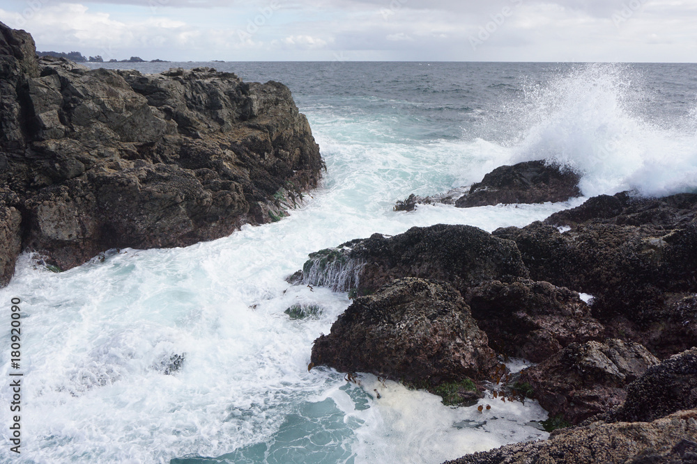 Storm Season - Ucluelet, BC Storm Season - Ucluelet, BC