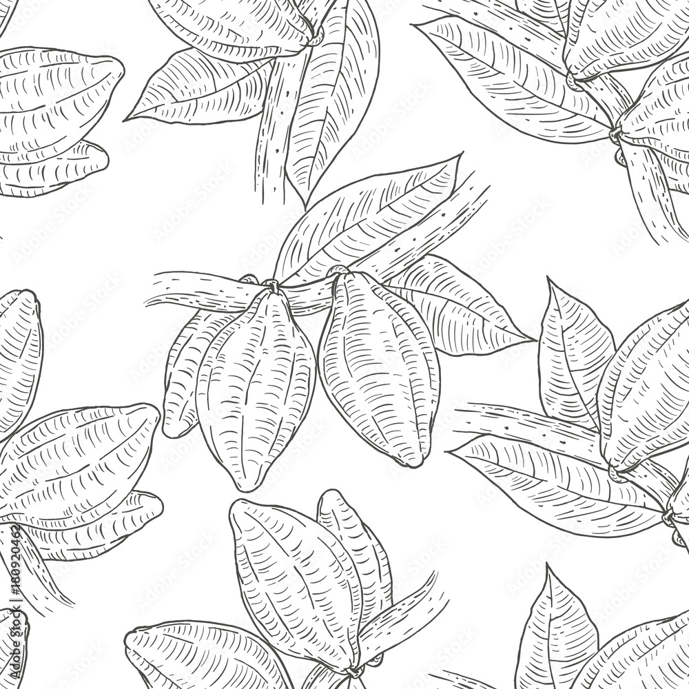 Seamless pattern with cocoa beans in retro vintage hand drawn, sketches, engraved style. Isolated on white background. Modern vector illustration.