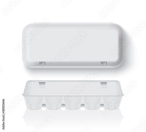 egg tray mock up vector template
