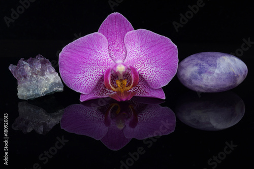 A flower of a pink orchid between different amethyst stones on a black background.
