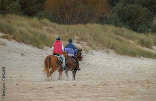 Pferde und Reiter am Strand