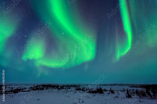 Northern Lights Above the Tundra photo