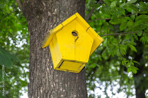 Wooden yellow birdhouse on a high tree in the public park