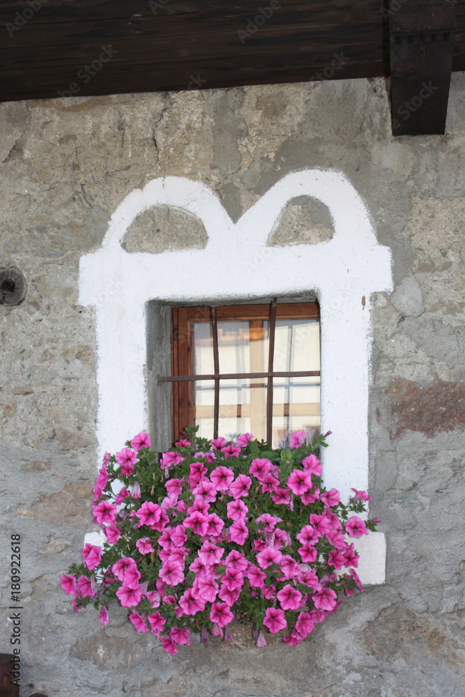 window with flowers from a rural Alps house - Aosta Valley Italy