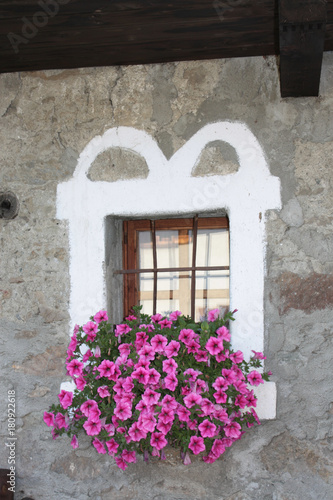 window with flowers from a rural Alps house - Aosta Valley Italy