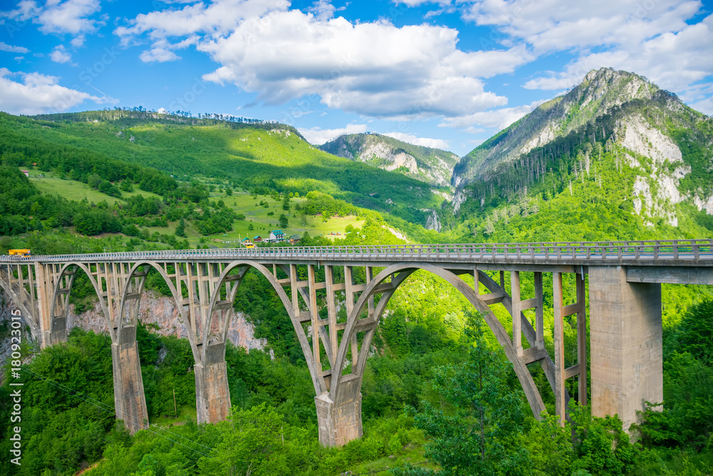 The Djurdjevic Bridge crosses the canyon of the Tara River in the north of Montenegro.